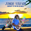 Bild Album Smokin to the big M Music - Junior Marvin (Ex Bob Marley)